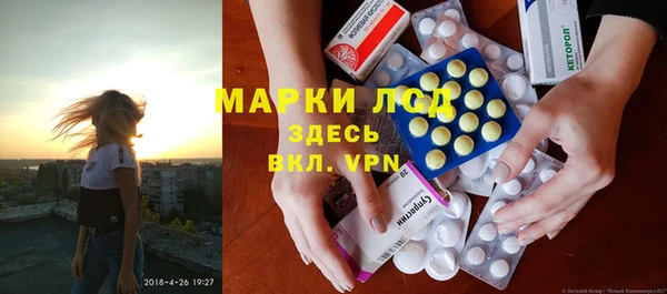 ГАЛЛЮЦИНОГЕННЫЕ ГРИБЫ Абаза