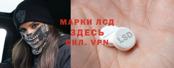 ГАЛЛЮЦИНОГЕННЫЕ ГРИБЫ Абаза