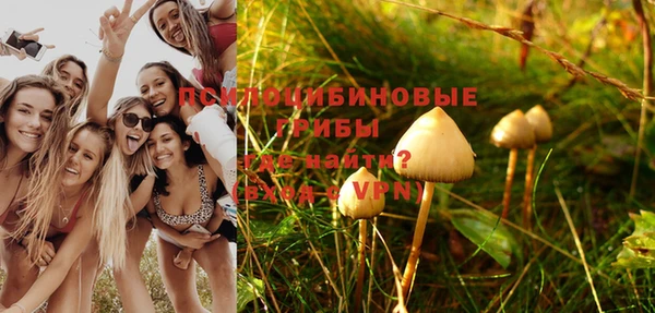 МДПВ Алексин