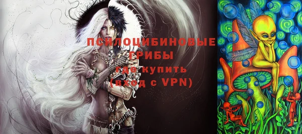 МДПВ Алексин