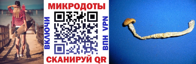 shop Telegram  Берёзовка  Галлюциногенные грибы ЛСД 